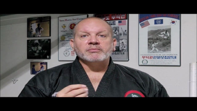 Karate - Tang Soo Do Intermediate Techniques and Forms – Screenshot 4
