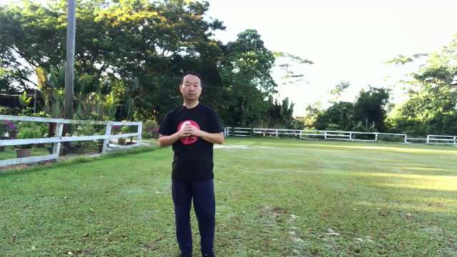 Using Tai Chi Stretches to Ward Off Shoulder Problems - Screenshot_04