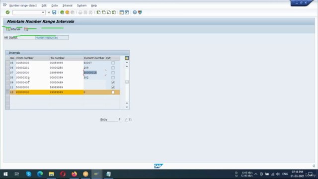 SAP UK Payroll (beginner to guru) – Screenshot 3