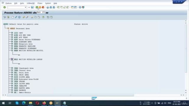 SAP UK Payroll (beginner to guru) – Screenshot 4