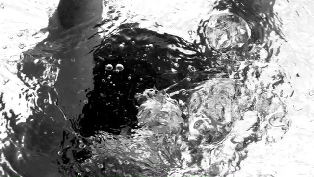Investigation of Water Related Deaths+Forensic Evidence – Screenshot 2