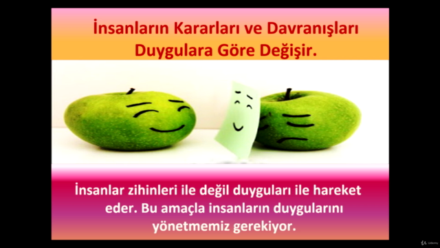 Şirket ve Yönetici Koçluğu Eğitimi – Screenshot 2