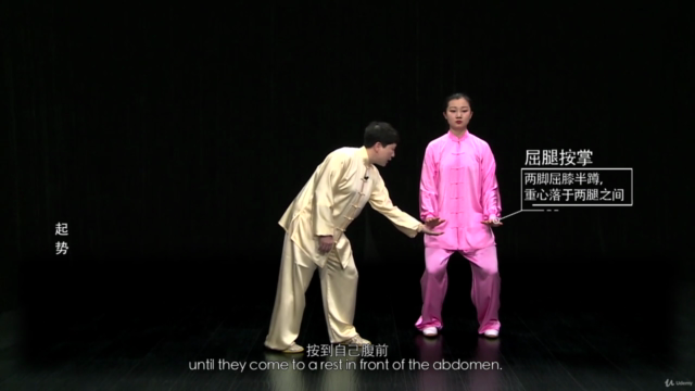 24 Form Tai Chi - Wu Style Tai Chi Chuan – Screenshot 1