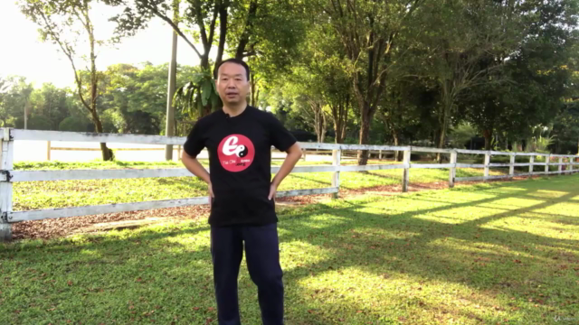 Tai Chi to Keep Joints Limber, FREE from Hip and Knee pain! - Screenshot_01