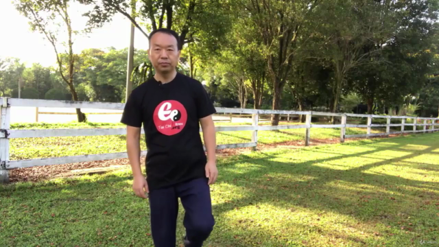 Tai Chi to Keep Joints Limber, FREE from Hip and Knee pain! - Screenshot_03