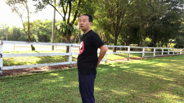 Lifelong Benefits of Tai Chi Postures to Ease Low Back Pain – Screenshot 2