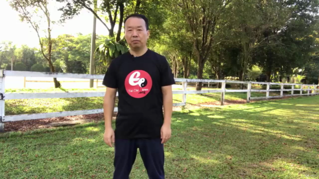 Lifelong Benefits of Tai Chi Postures to Ease Low Back Pain – Screenshot 3