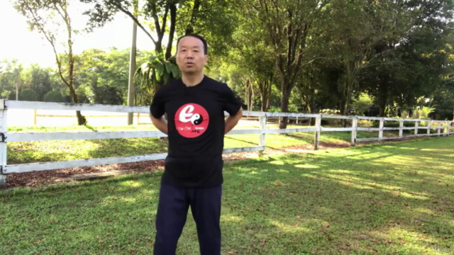 Lifelong Benefits of Tai Chi Postures to Ease Low Back Pain – Screenshot 4