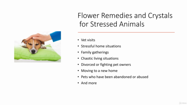 Healing Flower Essences and Crystals for Animals – Screenshot 3