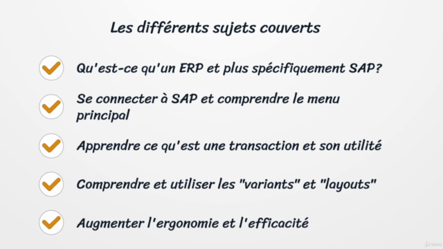 Initiation SAP ERP débutant - Les Bases - Screenshot_02