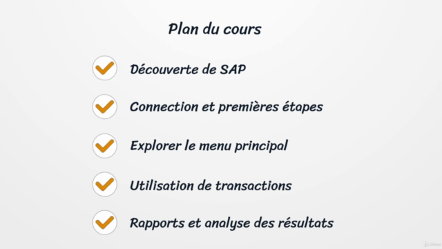 Initiation SAP ERP débutant - Les Bases - Screenshot_03