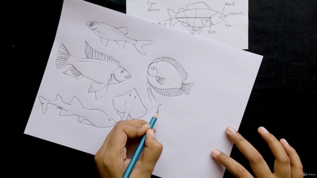 Modern Folk Art: Drawing and Painting fish – Screenshot 2