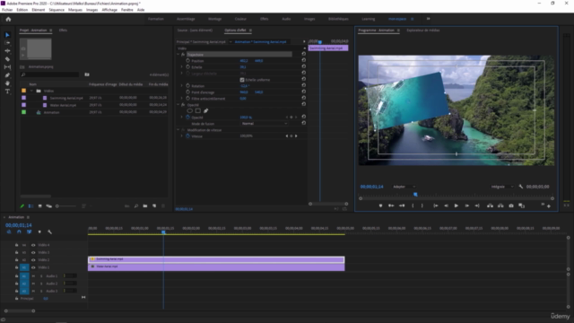 Formation Complète Première Pro CC2020 à CC2025 – Screenshot 2