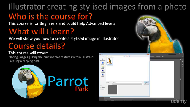 Illustrator - Creating stylised images from a photo – Screenshot 1