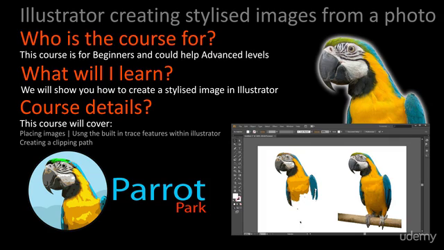 Illustrator - Creating stylised images from a photo – Screenshot 2