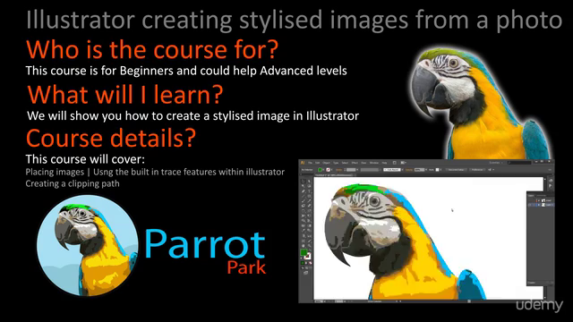 Illustrator - Creating stylised images from a photo – Screenshot 4
