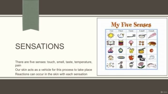 Infection Control for the Esthetician – Screenshot 2