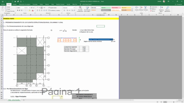 Metrado de Cargas – Screenshot 2