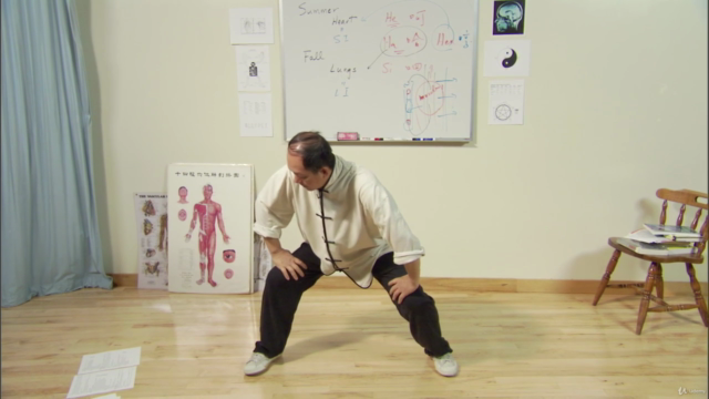 Understanding Qigong 4: Four Seasons Qigong with Dr. Yang – Screenshot 2