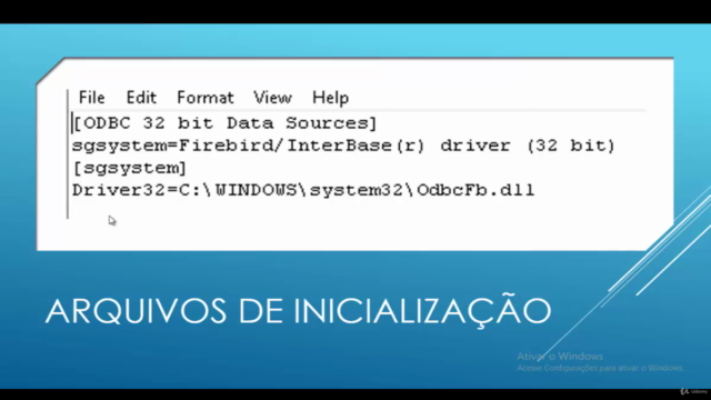 Aprenda a criar um sistema em delphi do início ao fim – Screenshot 3