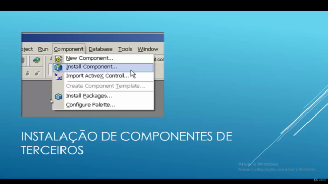 Aprenda a criar um sistema em delphi do início ao fim – Screenshot 4