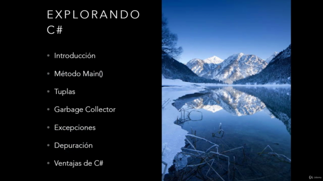 C# en Profundidad – Screenshot 1