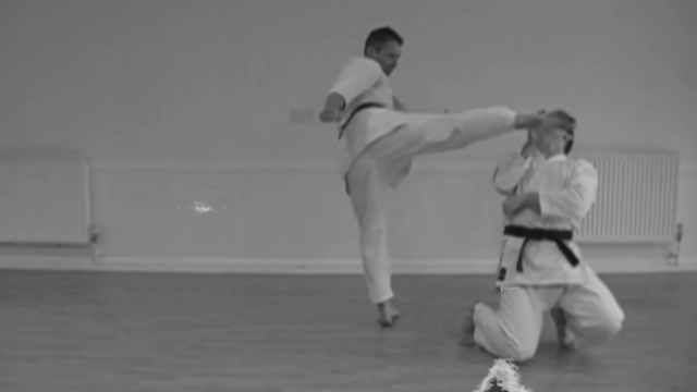 Get My Black Belt: Wado Ryu Karate (Part 1) – Screenshot 2