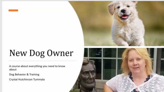 Unveiling Dog Behavior: Insights and Training - Screenshot_01