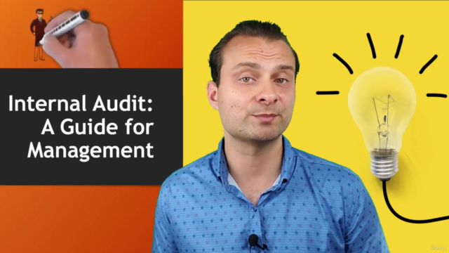 Internal Audit: a Guide for Management – Screenshot 1