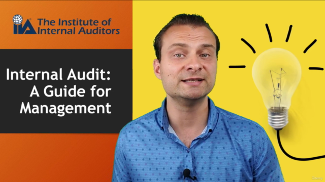 Internal Audit: a Guide for Management – Screenshot 3