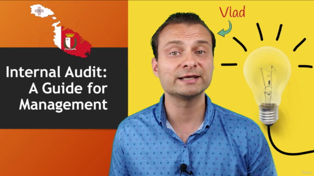 Internal Audit: a Guide for Management – Screenshot 4