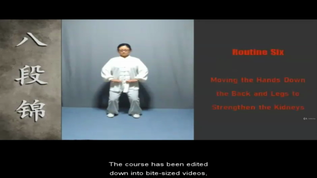 BaDuanJin Qigong: Unlocking the Secrets of Energy Healing – Screenshot 3