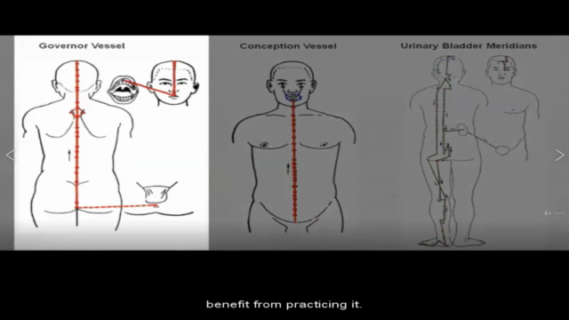 BaDuanJin Qigong: Unlocking the Secrets of Energy Healing – Screenshot 4