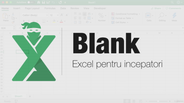Blank - Excel pentru incepatori – Screenshot 2