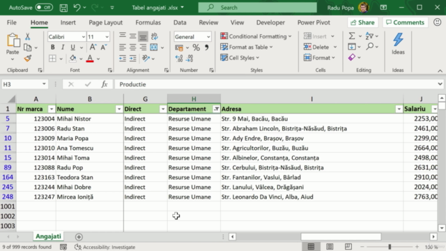 Blank - Excel pentru incepatori – Screenshot 3