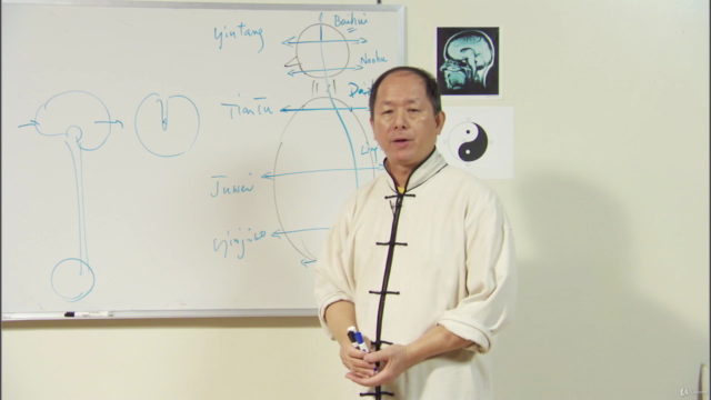 Understand Qigong 5: Small Circulation Meditation w Dr. Yang – Screenshot 1