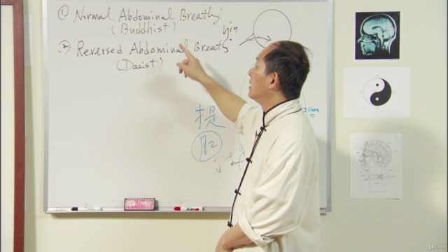 Understand Qigong 5: Small Circulation Meditation w Dr. Yang – Screenshot 2