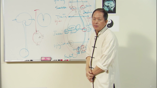 Understand Qigong 5: Small Circulation Meditation w Dr. Yang – Screenshot 3