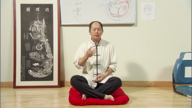 Understand Qigong 5: Small Circulation Meditation w Dr. Yang – Screenshot 4
