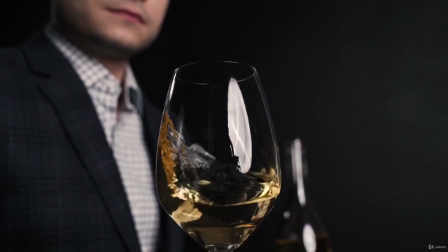 Crash Course on Wine - Wine 101 – Screenshot 1