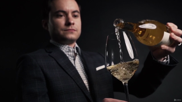 Crash Course on Wine - Wine 101 – Screenshot 2