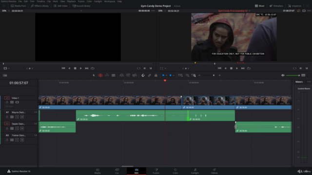 Project-Led Editing in Da Vinci Resolve Beginner to Advanced – Screenshot 3