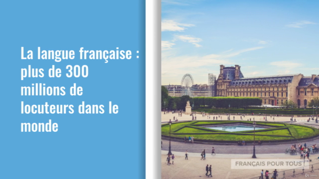 FRANÇAIS PROFESSIONNEL - Maîtriser la langue – Screenshot 2
