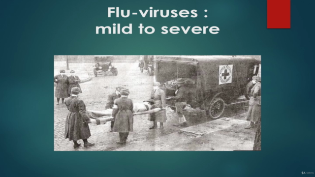 What exactly is the immune system that fights flu-viruses? – Screenshot 1