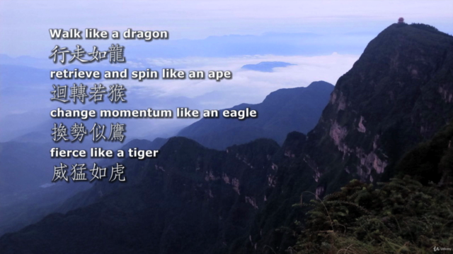 Bagua Zhang Eight Trigrams Kung Fu by Grandmaster Liang YMAA – Screenshot 2
