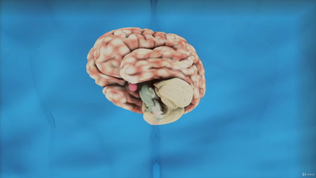 Neuroscience and Psychology: Electroencephalography (EEG) – Screenshot 2