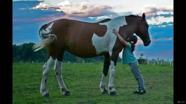 Animal Communication 101 – Screenshot 4