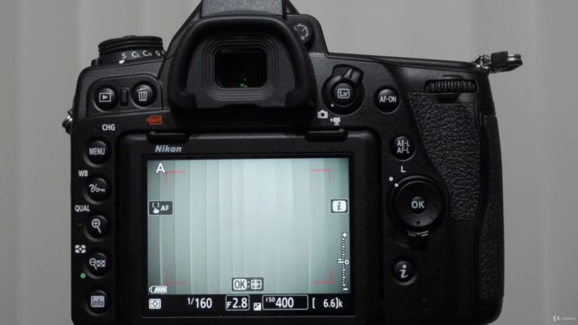 Nikon D780 Crash Course – Screenshot 2