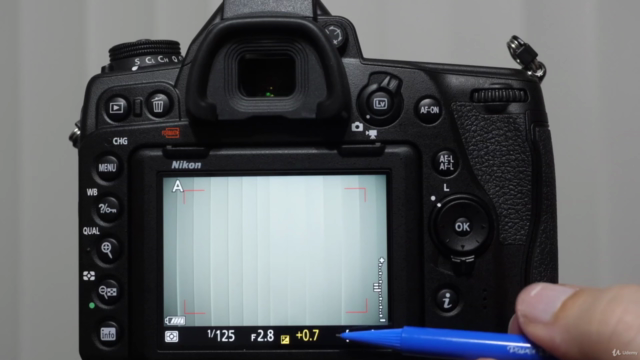 Nikon D780 Crash Course – Screenshot 3