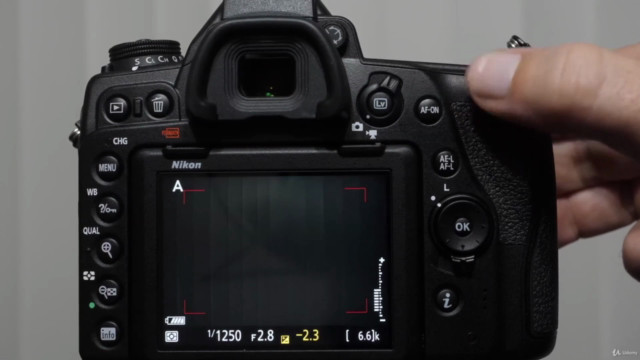 Nikon D780 Crash Course – Screenshot 4
